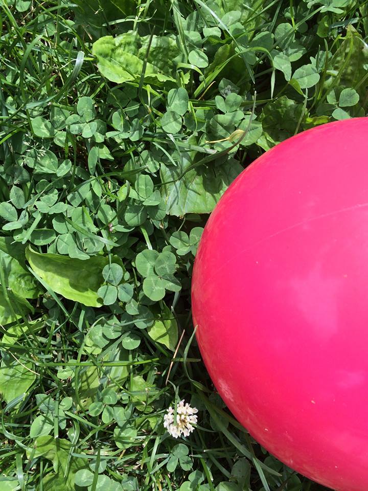 clover ball11391451_10152950639760665_4536817017500334325_n