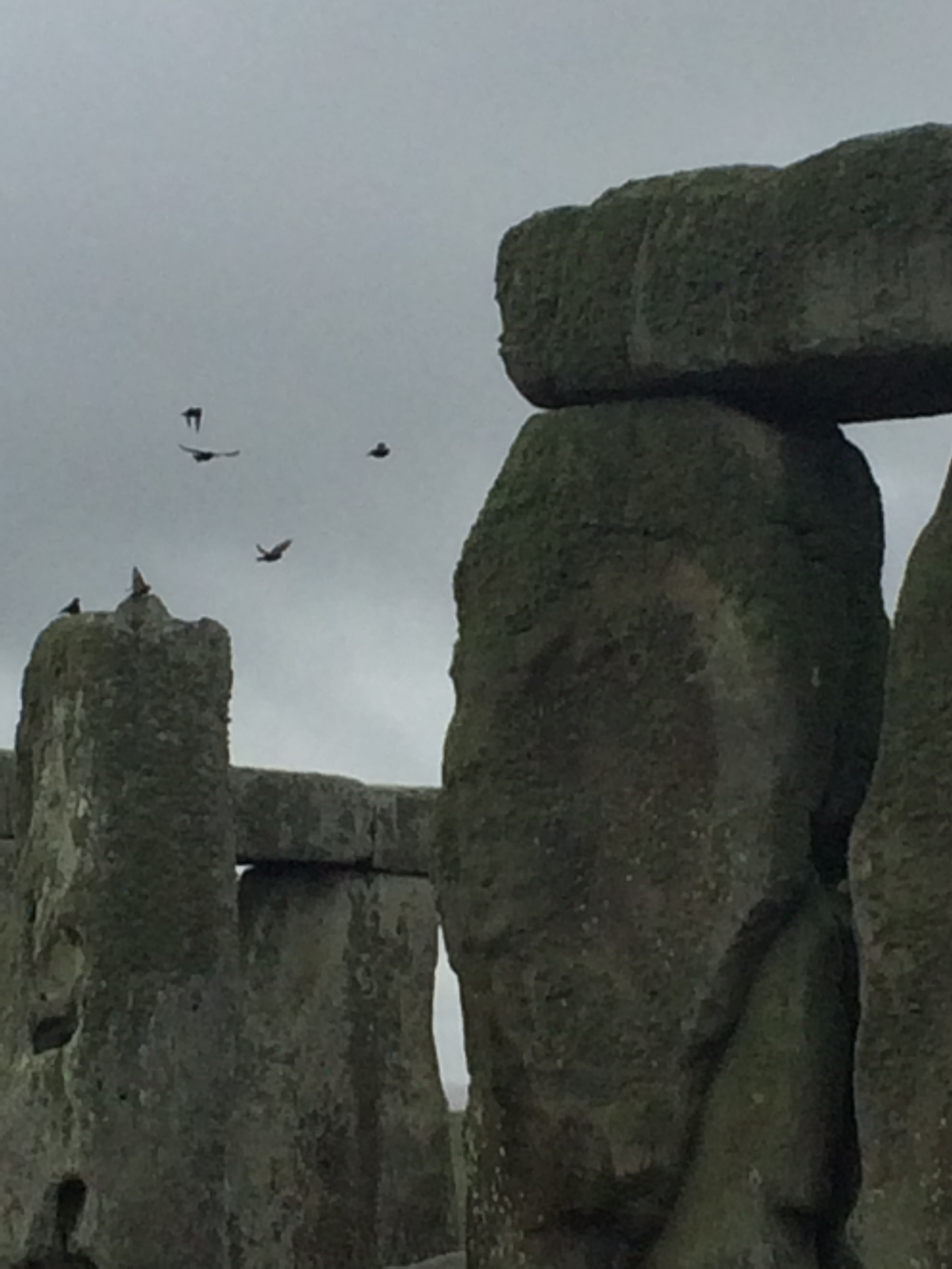 stonehenge and ravensJPG